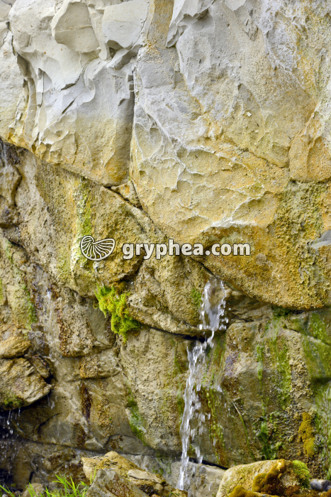 Fissure dans la falaise de craie du Cap Blanc-Nez - gryphea.com